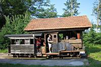Locomotive ancienne (au chateau de Saint-Fargeau, Yonne) (13)